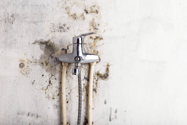 Best Commercial Mold Removal  in Beacon, NY