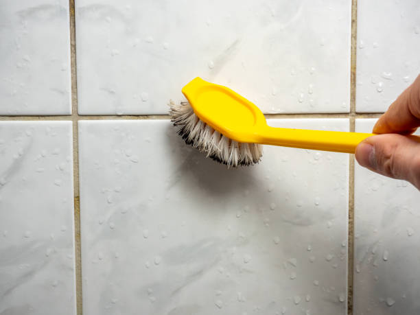 Best Home Mold Removal  in Beacon, NY
