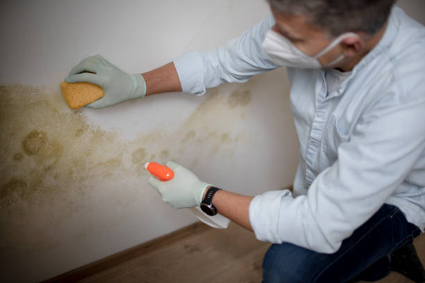 Crawl Space Mold Removal in Beacon, NY