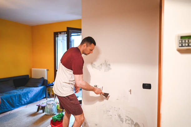 Best Attic Mold Removal  in Beacon, NY
